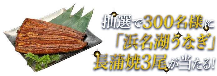 抽選で300名様に「浜名湖うなぎ」長蒲焼3尾が当たる！